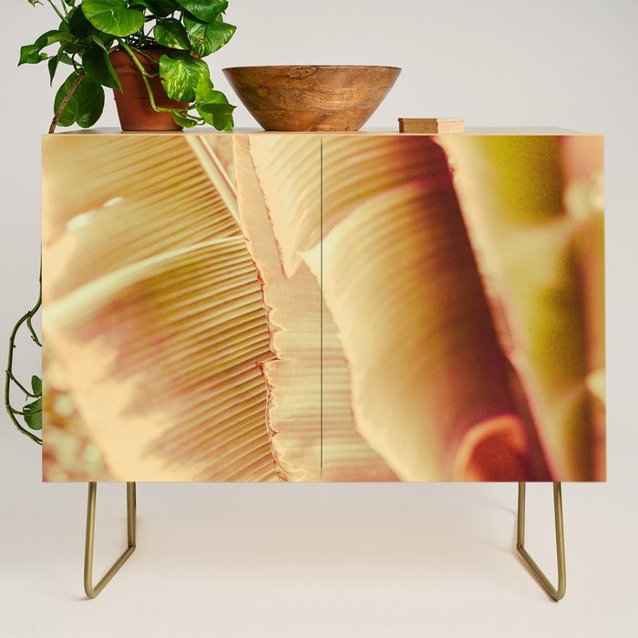 Rosé ll Credenza Gallery Image 1