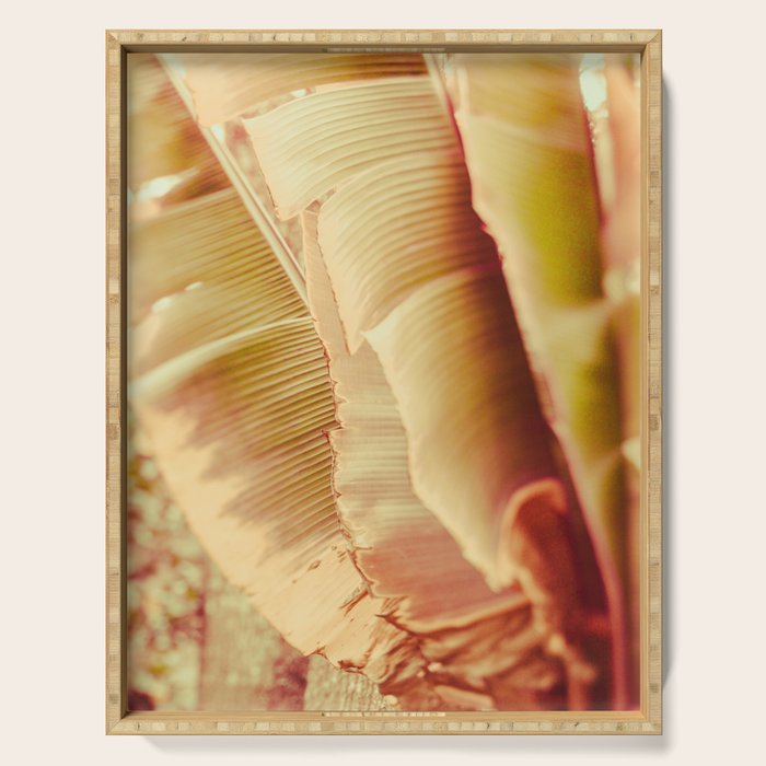 Rosé ll Serving Tray Gallery Image 1