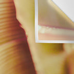 Rosé ll Wall Tapestry Gallery Image 3