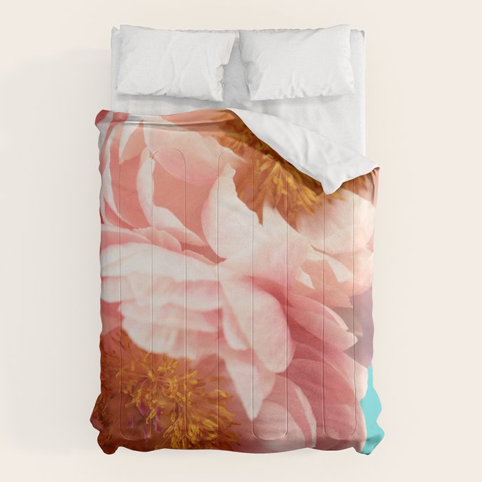 Miranda Comforter Gallery Image 1