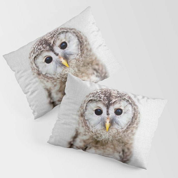 Baby Owl - Colorful Pillow Sham Gallery Image 1
