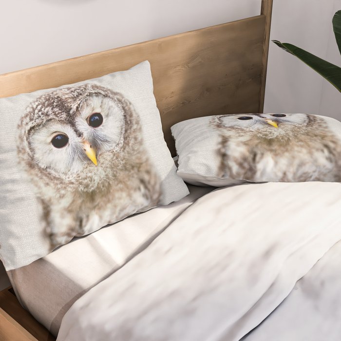 Baby Owl - Colorful Pillow Sham Gallery Image 2