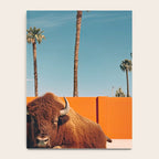 Bison By The Pool In Palm Springs Notebook Gallery Image 4