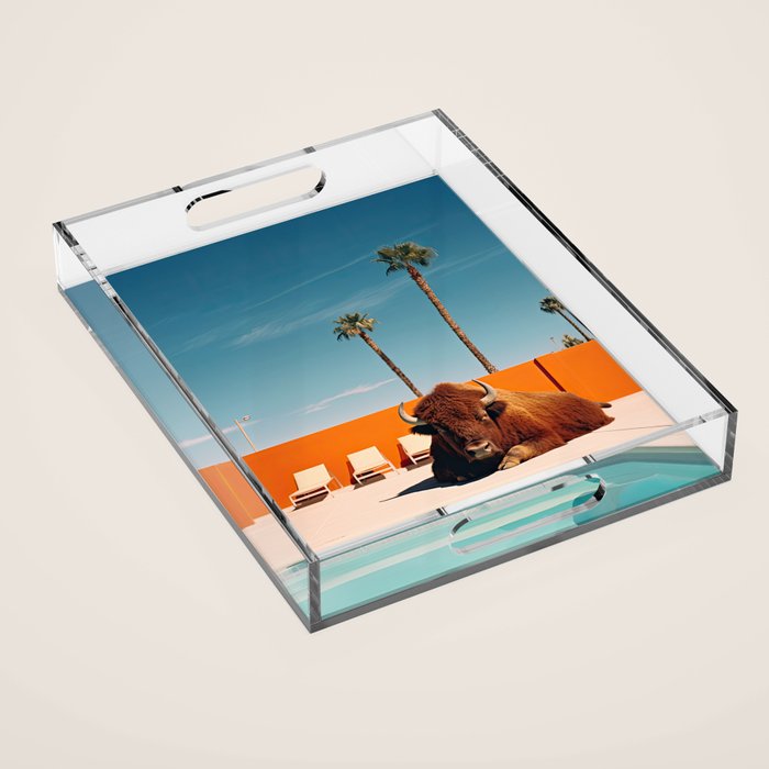 Bison By The Pool In Palm Springs Acrylic Tray Gallery Image 1
