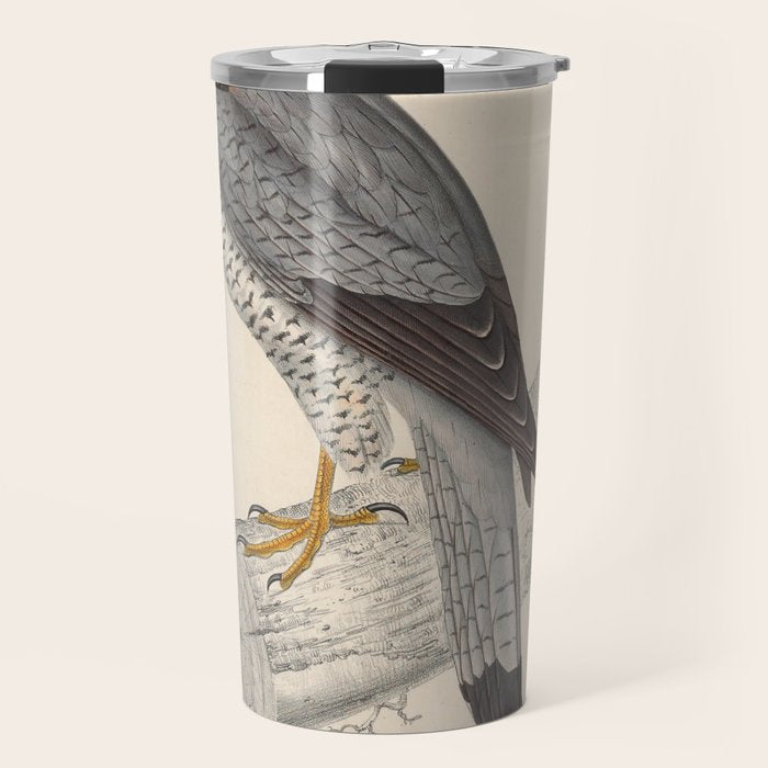 Red-necked falcon by Elizabeth Gould from "A Century of Birds from the Himalaya Mountains," 1831 Travel Mug Gallery Image 1