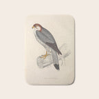 Red-necked falcon by Elizabeth Gould from "A Century of Birds from the Himalaya Mountains," 1831 Bath Mat Gallery Image 1