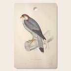 Red-necked falcon by Elizabeth Gould from "A Century of Birds from the Himalaya Mountains," 1831 Cutting Board Gallery Image 1