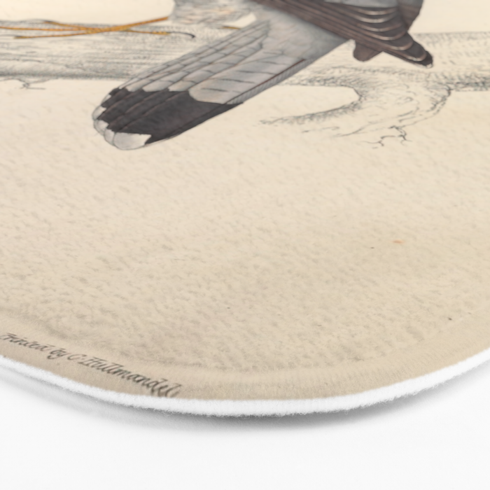 Red-necked falcon by Elizabeth Gould from "A Century of Birds from the Himalaya Mountains," 1831 Bath Mat Gallery Image 3