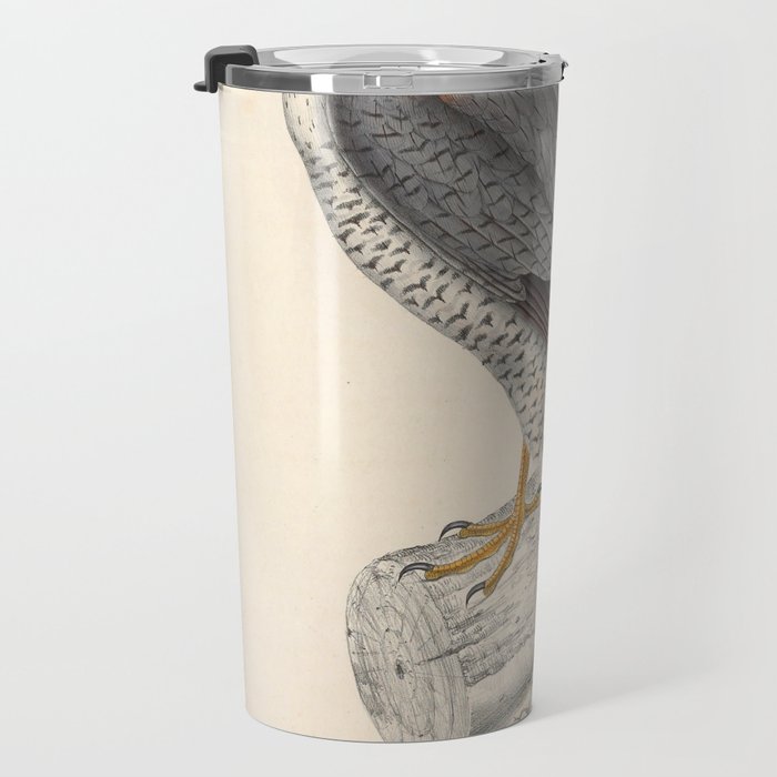 Red-necked falcon by Elizabeth Gould from "A Century of Birds from the Himalaya Mountains," 1831 Travel Mug Gallery Image 3