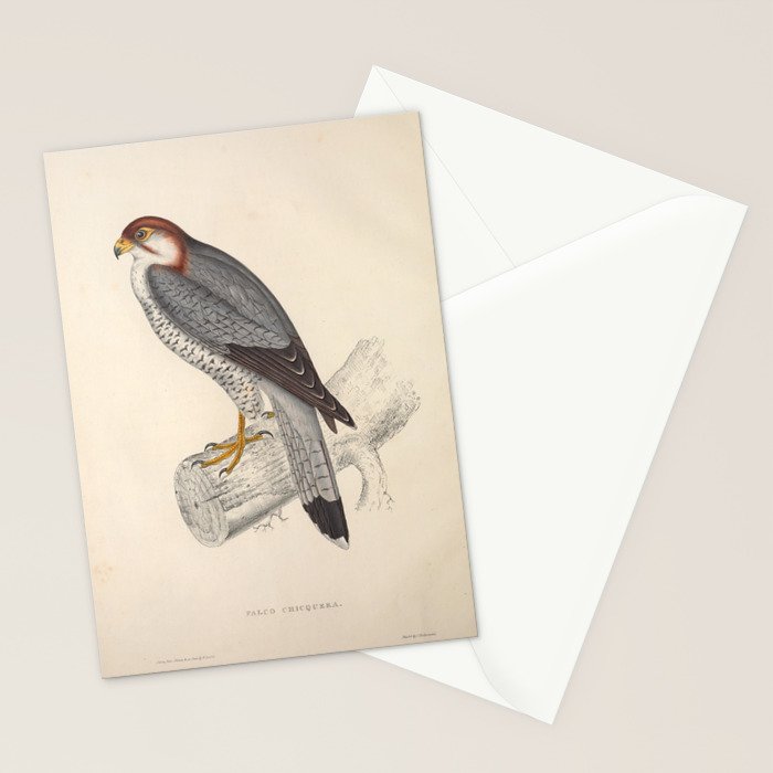 Red-necked falcon by Elizabeth Gould from "A Century of Birds from the Himalaya Mountains," 1831 Stationery Card Gallery Image 2