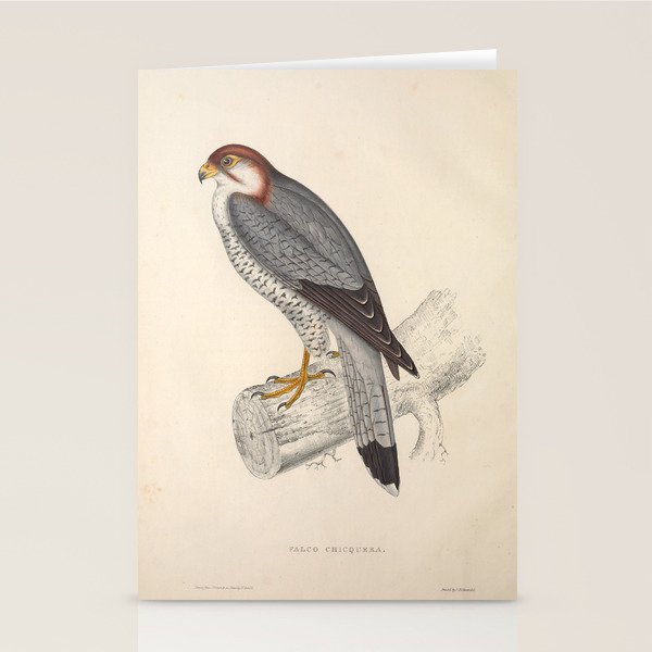 Red-necked falcon by Elizabeth Gould from "A Century of Birds from the Himalaya Mountains," 1831 Stationery Card Gallery Image 2
