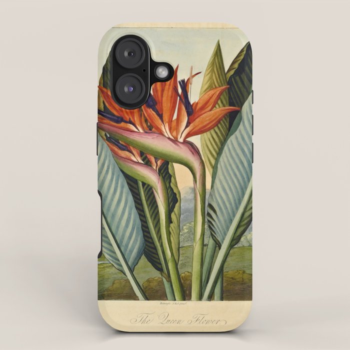 Bird of Paradise (Strelitzia Reginae) from "The Temple of Flora," 1812 (benefitting The Nature Conservancy) iPhone Case Gallery Image 1