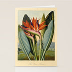 Bird of Paradise (Strelitzia Reginae) from "The Temple of Flora," 1812 (benefitting The Nature Conservancy) Stationery Card Gallery Image 2