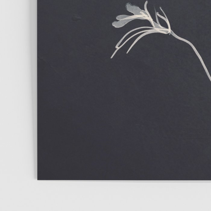 Minimalist Wild Plant 7 Black And White Poster Gallery Image 3
