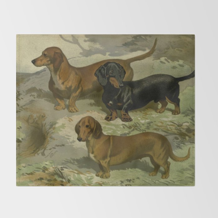 Vintage Dachshunds Throw Blanket Gallery Image 2