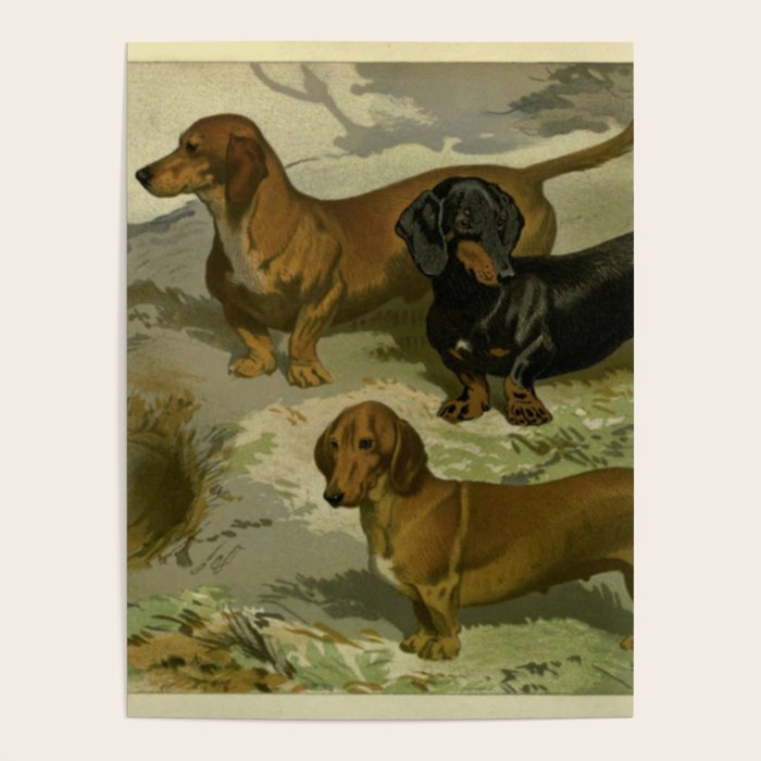 Vintage Dachshunds Poster Gallery Image 4