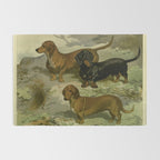 Vintage Dachshunds Rug Gallery Image 2