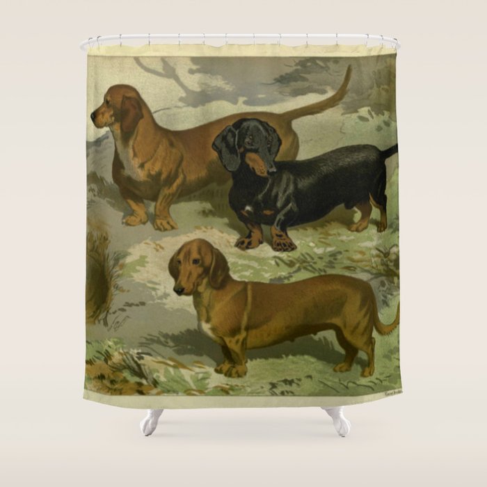 Vintage Dachshunds Shower Curtain Gallery Image 1