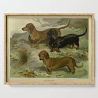 Vintage Dachshunds Serving Tray Gallery Image 1
