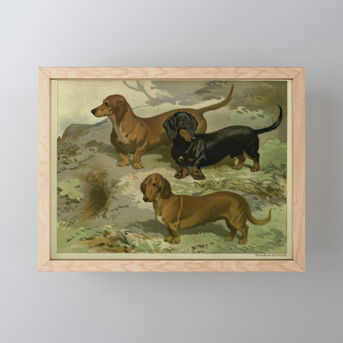 Vintage Dachshunds Mini Art Print Gallery Image 1