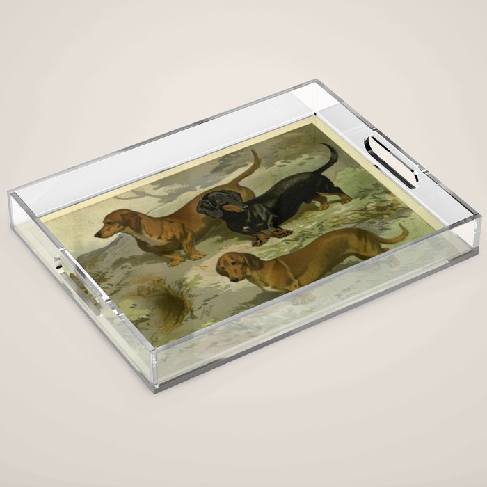 Vintage Dachshunds Acrylic Tray Gallery Image 1