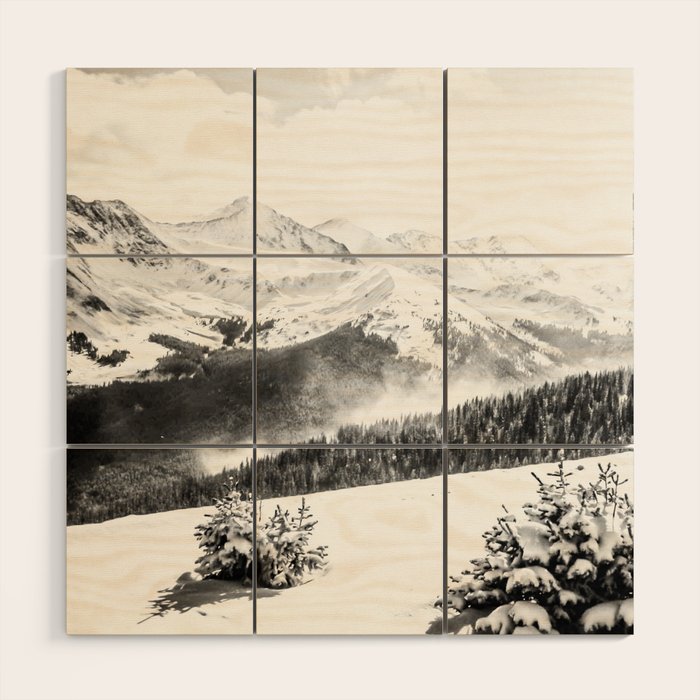 Fresh Snow Dust // Black and White Powder Day on the Mountain Wood Wall Art Gallery Image 1