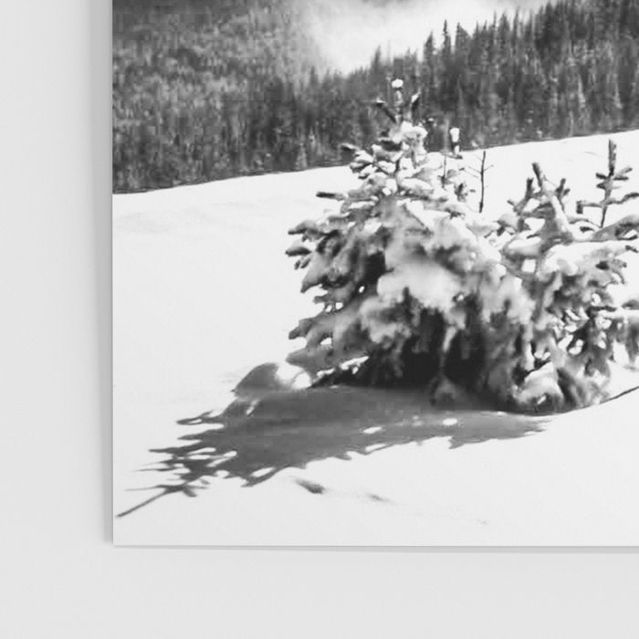 Fresh Snow Dust // Black and White Powder Day on the Mountain Poster Gallery Image 3