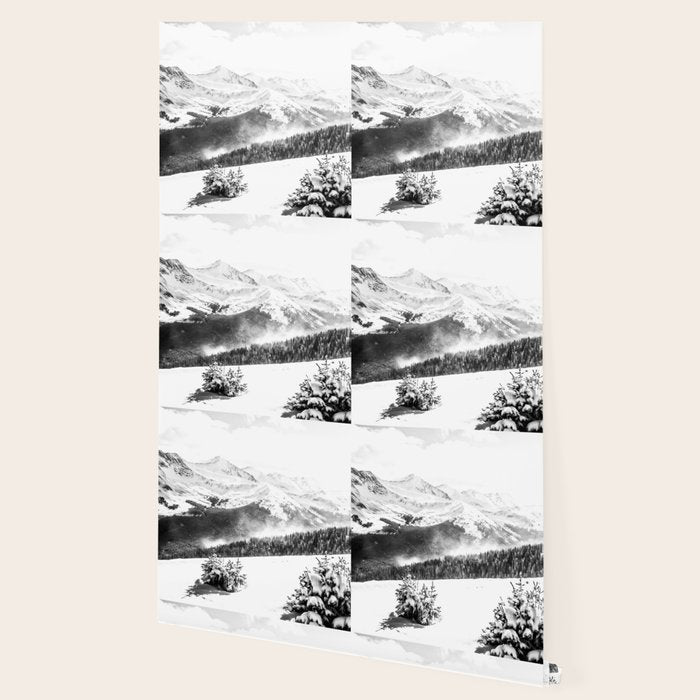 Fresh Snow Dust // Black and White Powder Day on the Mountain Wallpaper Gallery Image 2