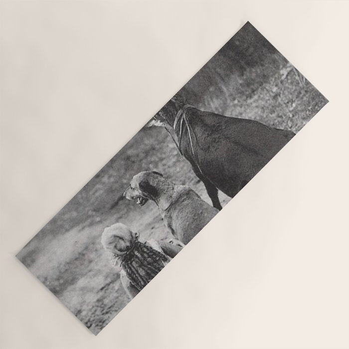 A Girl, Her Dog, and Her Horse wonderful black and white photograph - photography Yoga Mat Gallery Image 1