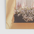 Charleston South Carolina Window Box photography Poster Gallery Image 3