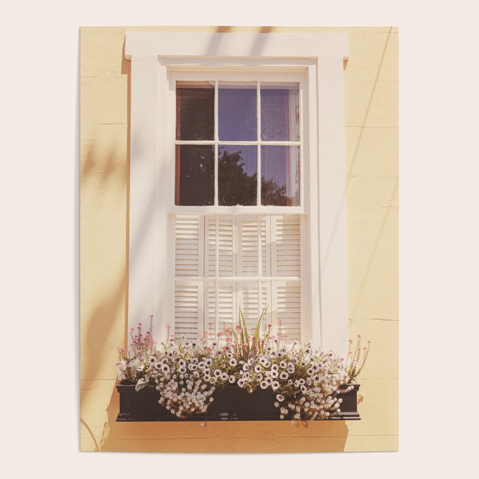 Charleston South Carolina Window Box photography Poster Gallery Image 1