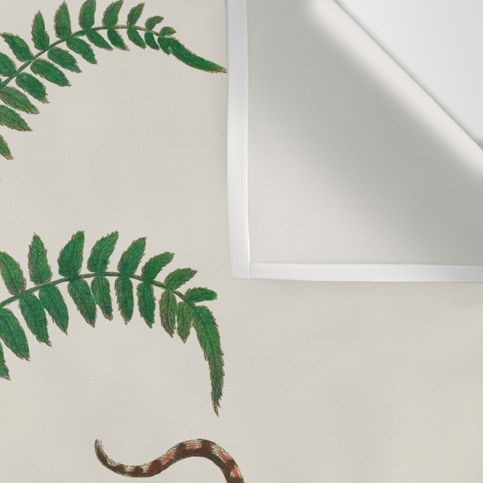Vipers Aspis hugyi Serpentes Shinus molle Poster Print by Albertus SEBA Wall Tapestry Gallery Image 3