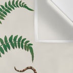 Vipers Aspis hugyi Serpentes Shinus molle Poster Print by Albertus SEBA Wall Tapestry Gallery Image 3