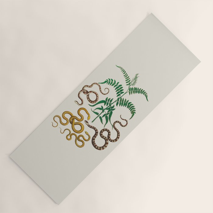 Vipers Aspis hugyi Serpentes Shinus molle Poster Print by Albertus SEBA Yoga Mat Gallery Image 1