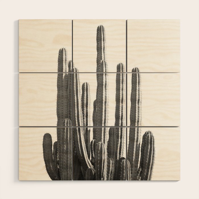 Black and White Cactus Wood Wall Art Gallery Image 1