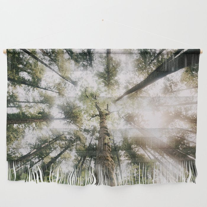 Looking Up Wall Hanging Gallery Image 1