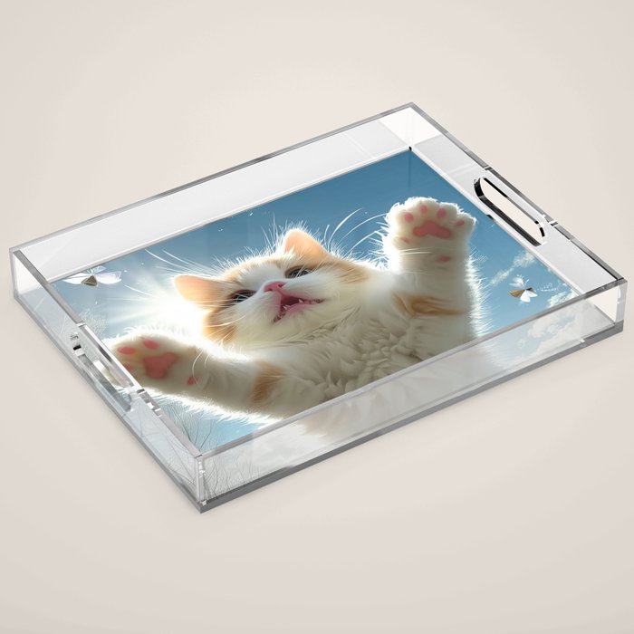 Catch me Acrylic Tray Gallery Image 1