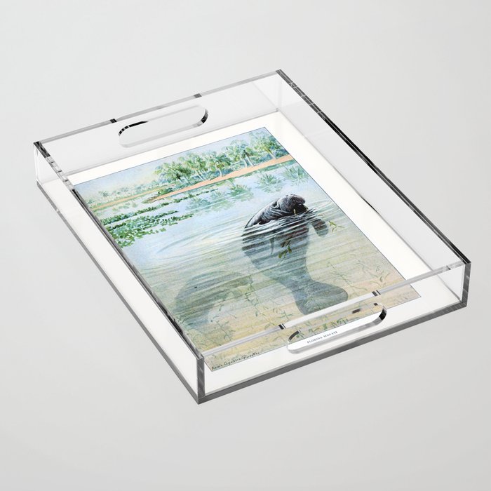Vintage Florida Manatee Acrylic Tray Gallery Image 1