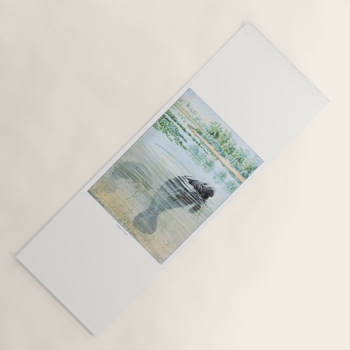 Vintage Florida Manatee Yoga Mat Gallery Image 1