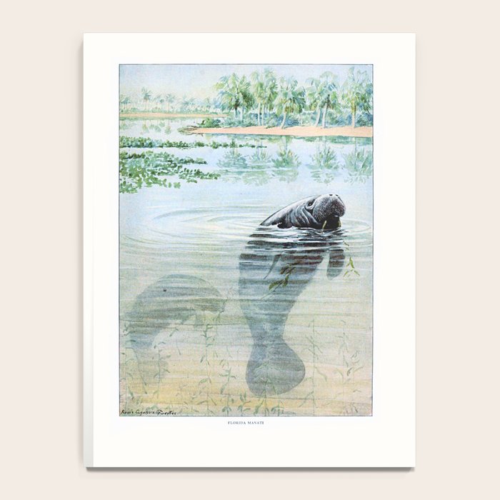 Vintage Florida Manatee Notebook Gallery Image 4