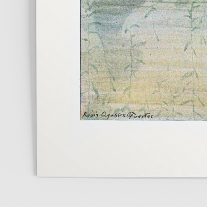 Vintage Florida Manatee Poster Gallery Image 3