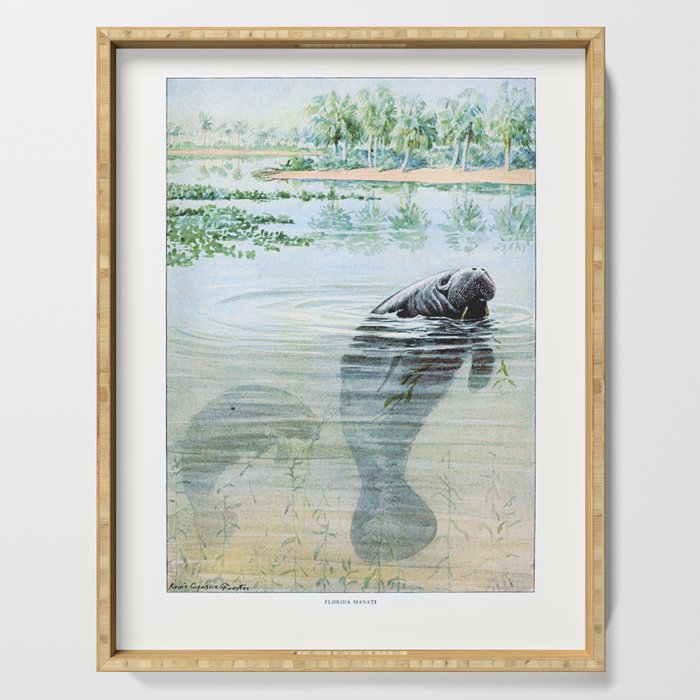 Vintage Florida Manatee Serving Tray Gallery Image 1