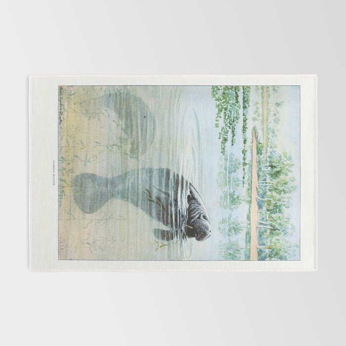 Vintage Florida Manatee Rug Gallery Image 2