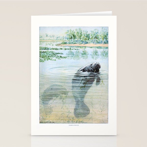 Vintage Florida Manatee Stationery Card Gallery Image 1