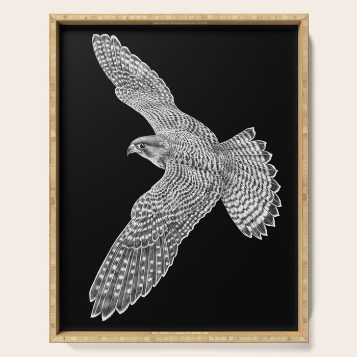 Peregrine Falcon Serving Tray Gallery Image 1