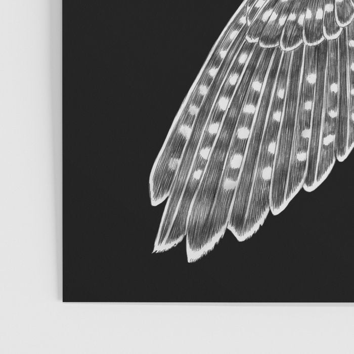 Peregrine Falcon Poster Gallery Image 3