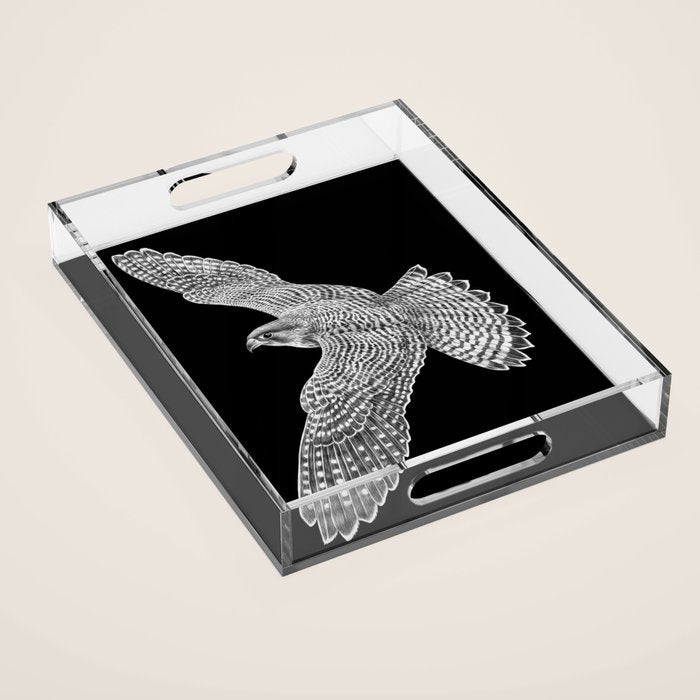Peregrine Falcon Acrylic Tray Gallery Image 1