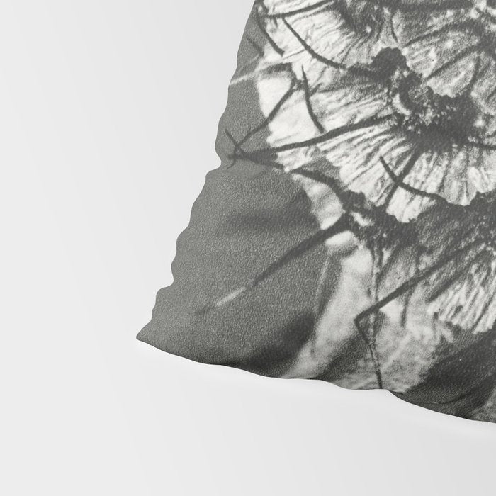 Phacelia Tanacetifolia Lacy Phacelia wonders of nature black and white photograph by Karl Blossfeldt Pillow Sham Gallery Image 4