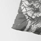 Phacelia Tanacetifolia Lacy Phacelia wonders of nature black and white photograph by Karl Blossfeldt Pillow Sham Gallery Image 4