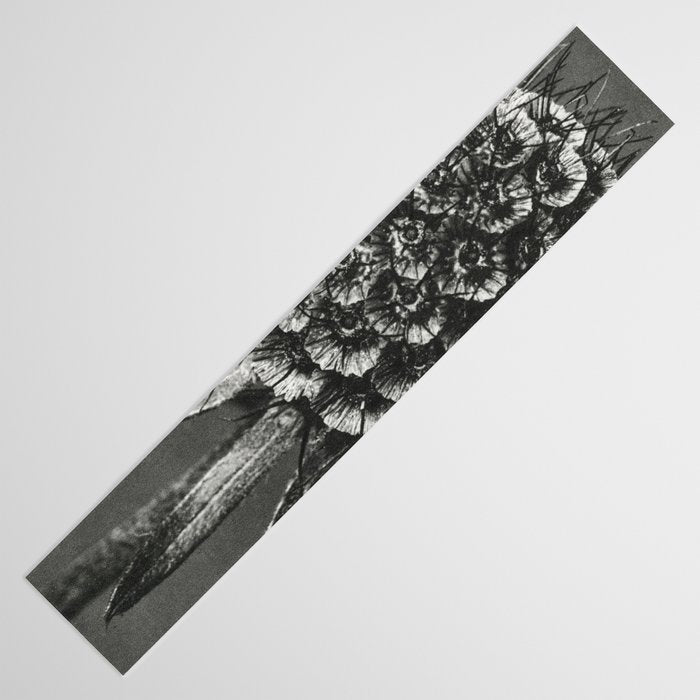 Phacelia Tanacetifolia Lacy Phacelia wonders of nature black and white photograph by Karl Blossfeldt Table Runner Gallery Image 3